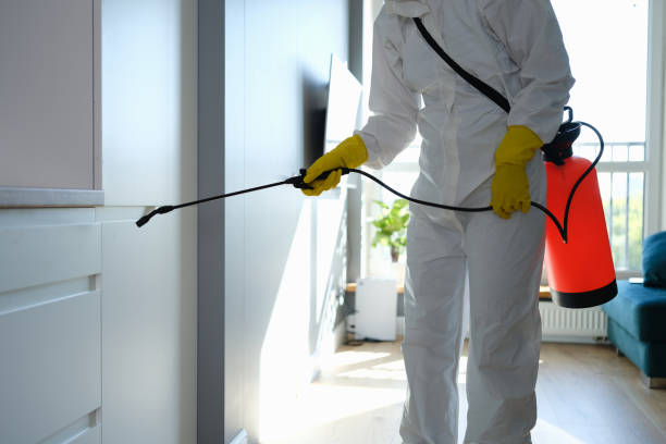 Home Mold Removal in Franklin, KY